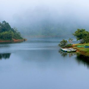 thekkady-tour-packages-2